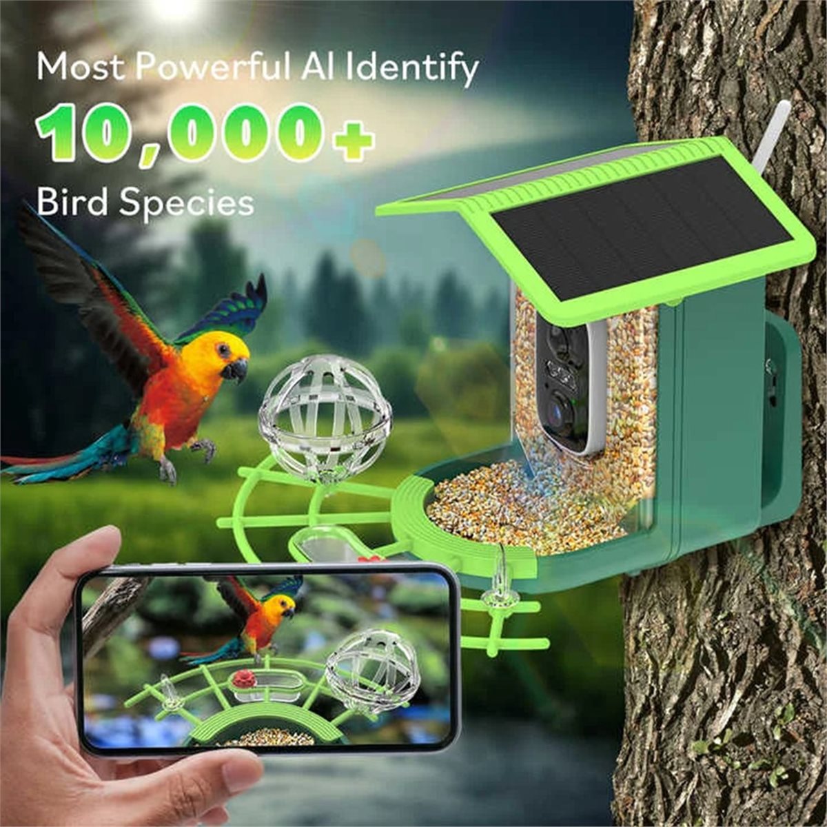 ABPPスマートバードフィーダーカメラ（AI種識別機能搭載、 - Power Tools Ai のレビューと価格